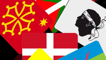 Vlaamse beweging in internationaal-comparatief perspectief