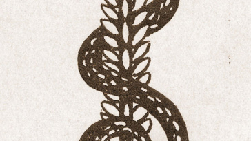 Doktersgild Van Helmont