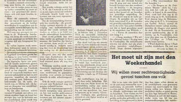 Het Vrije Waasland