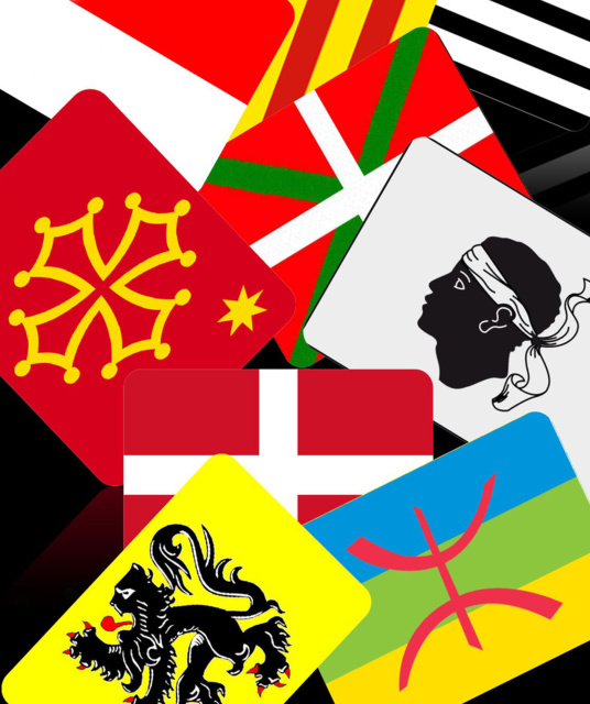 Collage van de vlaggen van onder andere Vlaanderen, Corsica, Bretagne, Baskenland, Catalonië, Occitanië en Savoye. (Régions et peuples solidaires)