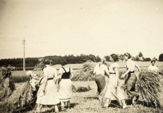 Leden van de Katholieke Vlaamse Meisjesbeweging helpen bij de oogst, ca. 1930. (Collectie Stad Antwerpen, tglhph40130)